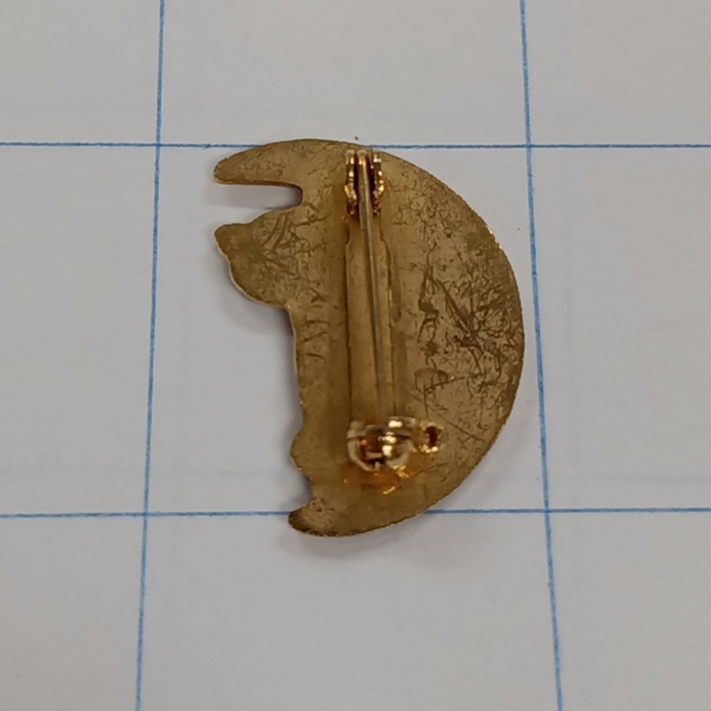 Cat & Moon Vintage Pin - Picture 3 of 4